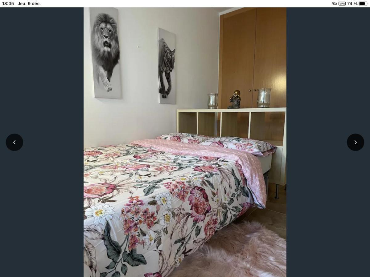 Appartement Golf Panoramica San Jorge  Zewnętrze zdjęcie
